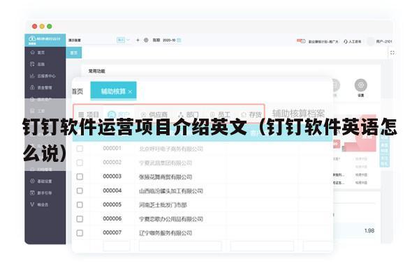 钉钉软件运营项目介绍英文（钉钉软件英语怎么说）