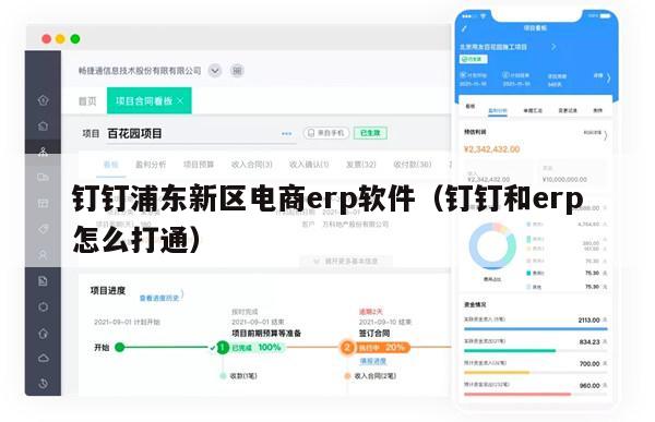 钉钉浦东新区电商erp软件（钉钉和erp怎么打通）