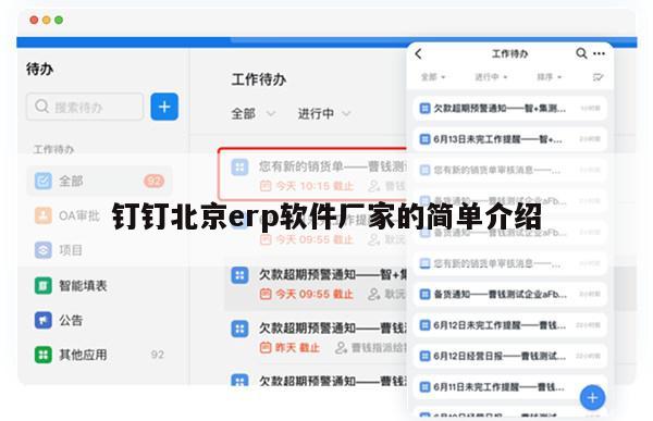 钉钉北京erp软件厂家的简单介绍