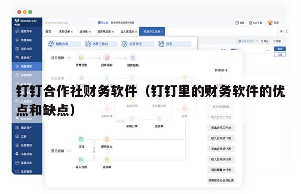 钉钉合作社财务软件（钉钉里的财务软件的优点和缺点）