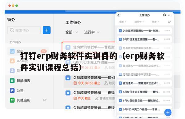 钉钉erp财务软件实训目的（erp财务软件实训课程总结）