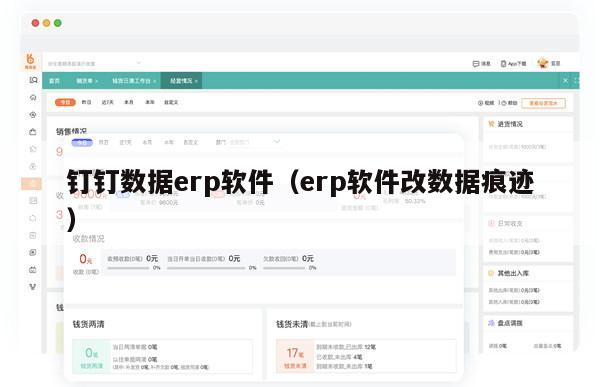 钉钉数据erp软件（erp软件改数据痕迹）