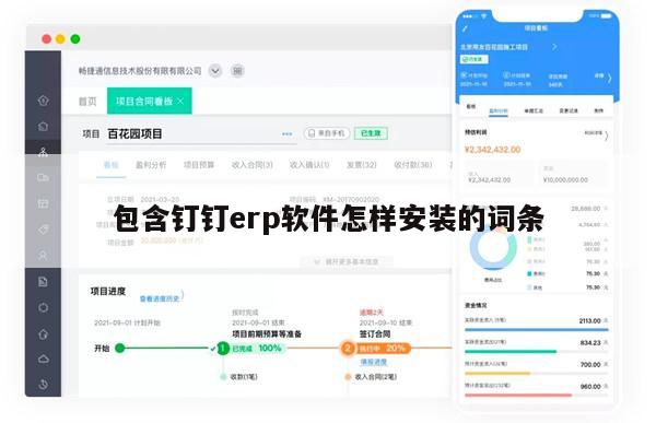 包含钉钉erp软件怎样安装的词条