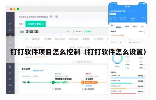 钉钉软件项目怎么控制（钉钉软件怎么设置）