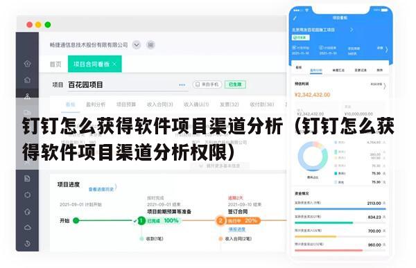 钉钉怎么获得软件项目渠道分析（钉钉怎么获得软件项目渠道分析权限）
