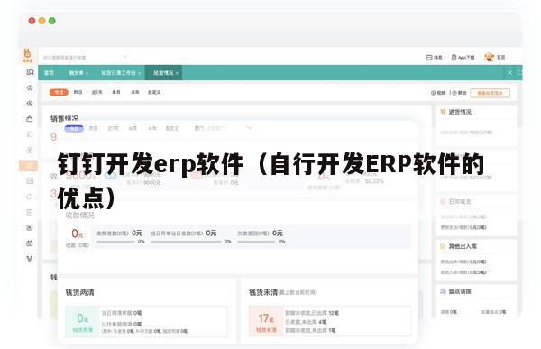 钉钉开发erp软件（自行开发ERP软件的优点）