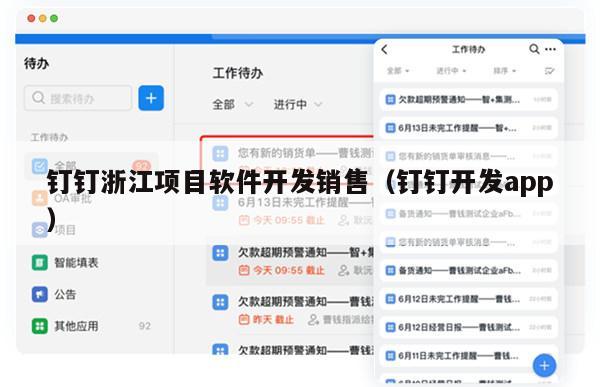 钉钉浙江项目软件开发销售（钉钉开发app）