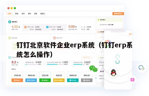 钉钉北京软件企业erp系统（钉钉erp系统怎么操作）