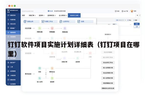 钉钉软件项目实施计划详细表（钉钉项目在哪里）