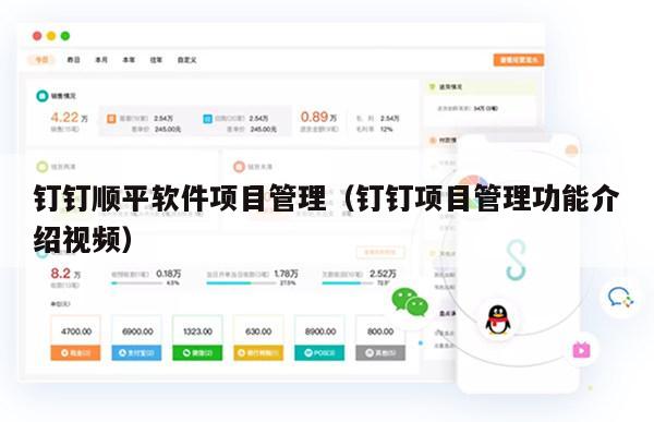 钉钉顺平软件项目管理（钉钉项目管理功能介绍视频）