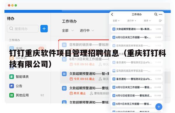 钉钉重庆软件项目管理招聘信息（重庆钉钉科技有限公司）