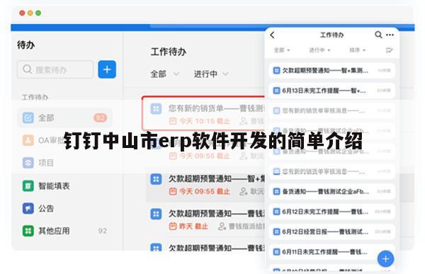 钉钉中山市erp软件开发的简单介绍