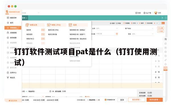 钉钉软件测试项目pat是什么（钉钉使用测试）