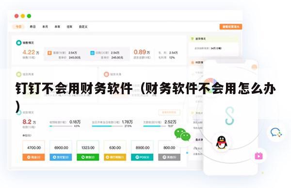 钉钉不会用财务软件（财务软件不会用怎么办）