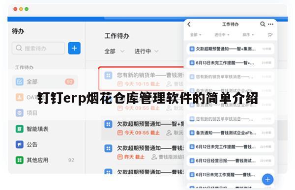钉钉erp烟花仓库管理软件的简单介绍