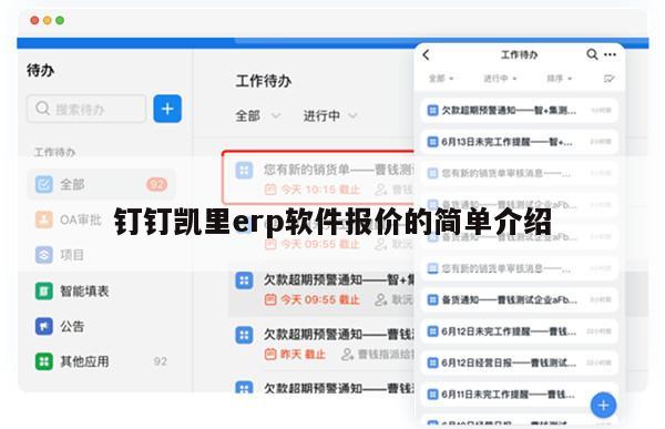 钉钉凯里erp软件报价的简单介绍