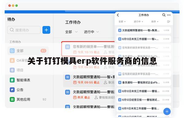 关于钉钉模具erp软件服务商的信息