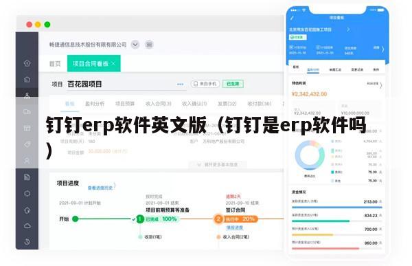 钉钉erp软件英文版（钉钉是erp软件吗）