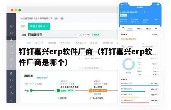 钉钉嘉兴erp软件厂商（钉钉嘉兴erp软件厂商是哪个）