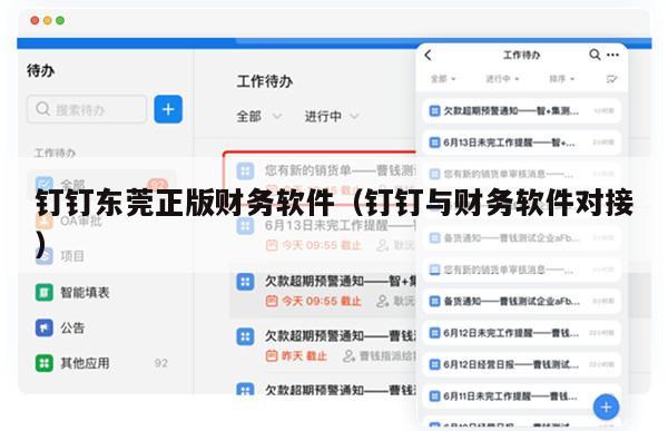 钉钉东莞正版财务软件（钉钉与财务软件对接）