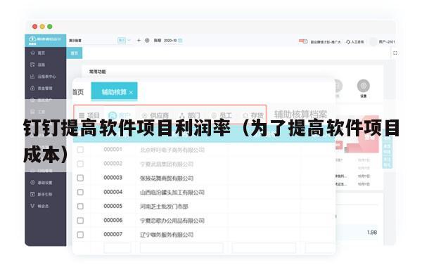 钉钉提高软件项目利润率（为了提高软件项目成本）