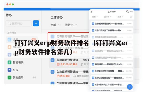 钉钉兴义erp财务软件排名（钉钉兴义erp财务软件排名第几）