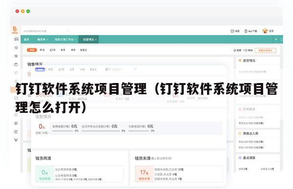 钉钉软件系统项目管理（钉钉软件系统项目管理怎么打开）