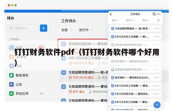 钉钉财务软件pdf（钉钉财务软件哪个好用）