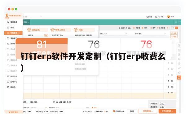 钉钉erp软件开发定制（钉钉erp收费么）