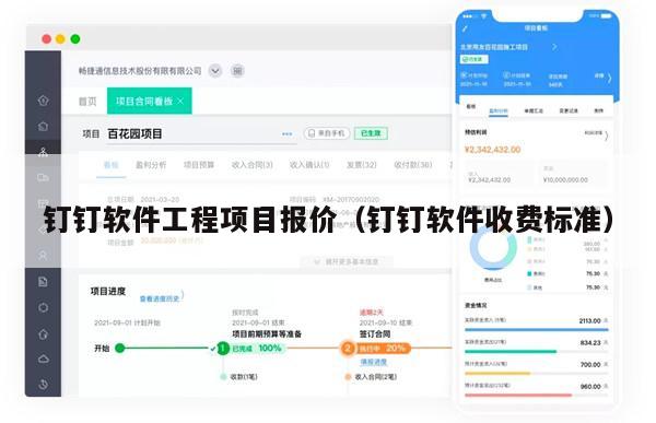 钉钉软件工程项目报价（钉钉软件收费标准）