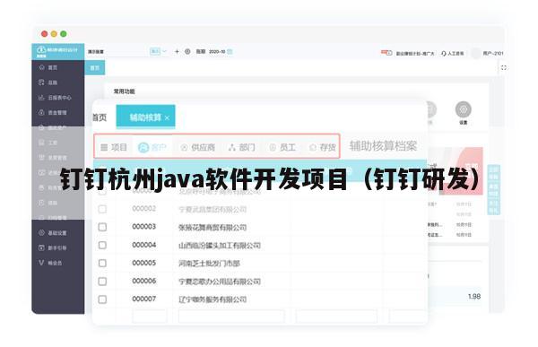 钉钉杭州java软件开发项目（钉钉研发）