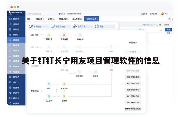 关于钉钉长宁用友项目管理软件的信息