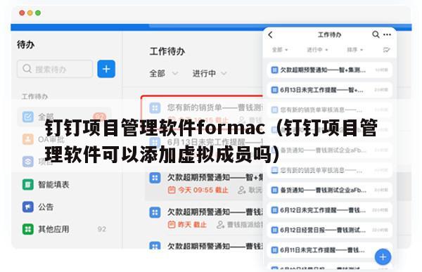 钉钉项目管理软件formac（钉钉项目管理软件可以添加虚拟成员吗）