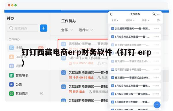 钉钉西藏电商erp财务软件（钉钉 erp）