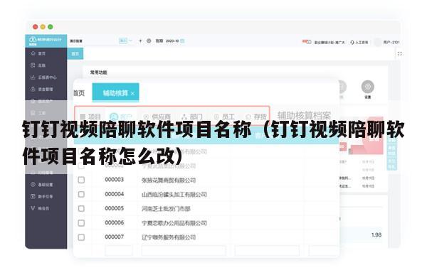 钉钉视频陪聊软件项目名称（钉钉视频陪聊软件项目名称怎么改）