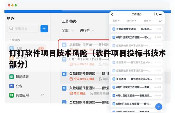 钉钉软件项目技术风险（软件项目投标书技术部分）