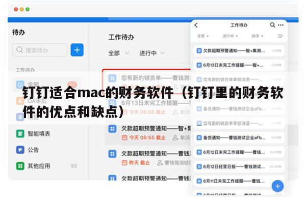 钉钉适合mac的财务软件（钉钉里的财务软件的优点和缺点）