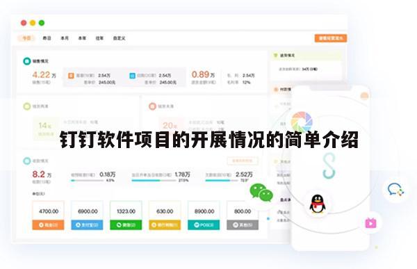 钉钉软件项目的开展情况的简单介绍