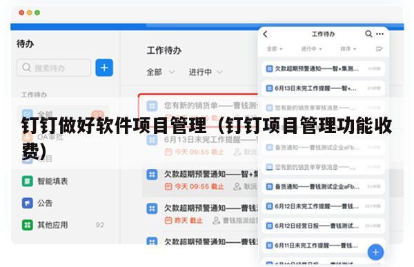 钉钉做好软件项目管理（钉钉项目管理功能收费）