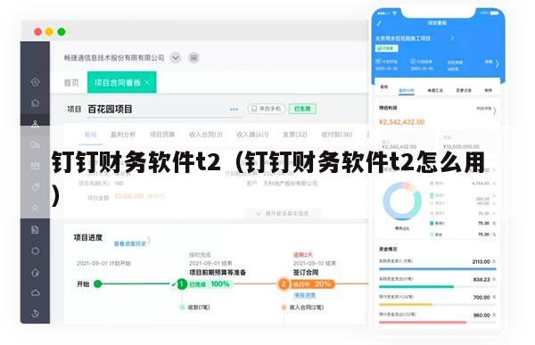 钉钉财务软件t2（钉钉财务软件t2怎么用）