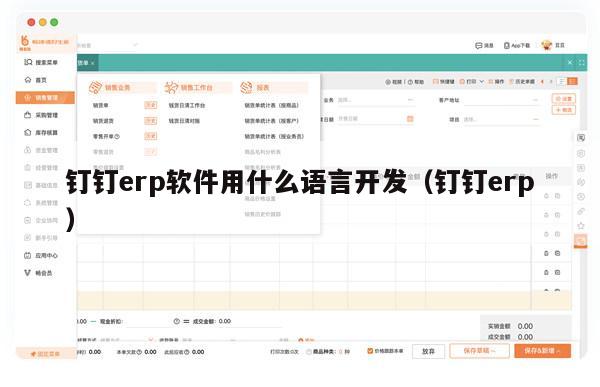 钉钉erp软件用什么语言开发（钉钉erp）