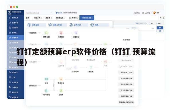 钉钉定额预算erp软件价格（钉钉 预算流程）
