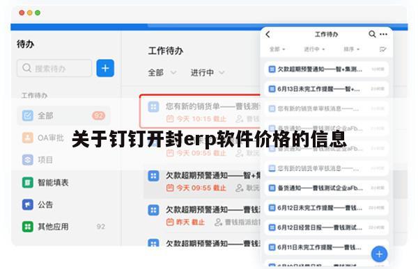 关于钉钉开封erp软件价格的信息