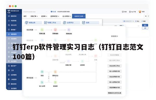 钉钉erp软件管理实习日志（钉钉日志范文100篇）