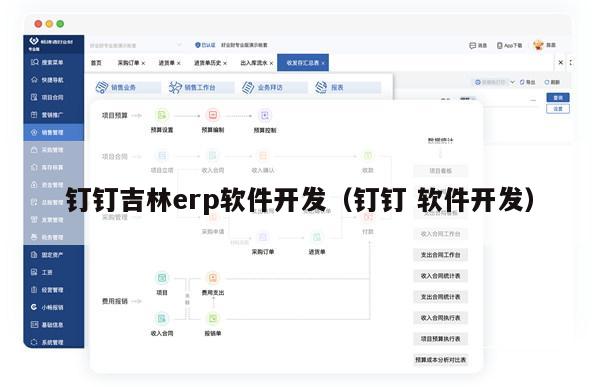 钉钉吉林erp软件开发（钉钉 软件开发）