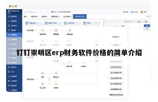 钉钉崇明区erp财务软件价格的简单介绍