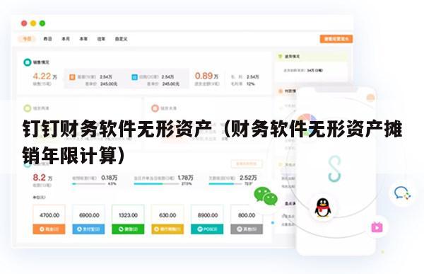钉钉财务软件无形资产（财务软件无形资产摊销年限计算）