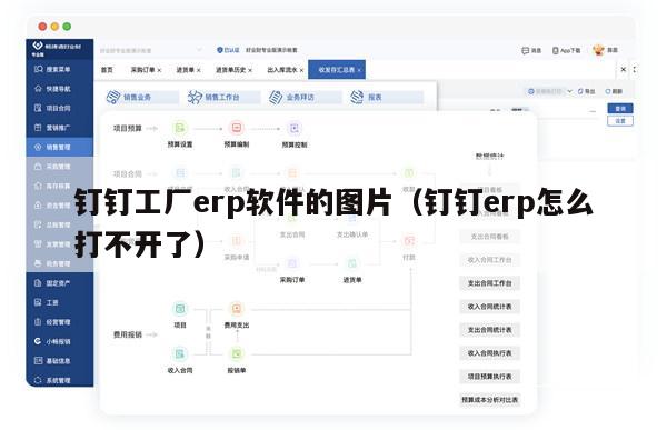 钉钉工厂erp软件的图片（钉钉erp怎么打不开了）