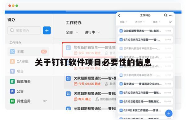 关于钉钉软件项目必要性的信息