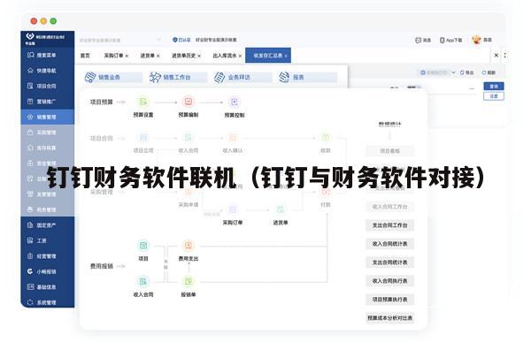 钉钉财务软件联机（钉钉与财务软件对接）